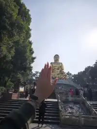 重慶寶藏地，0元闖進秋日禪意天堂