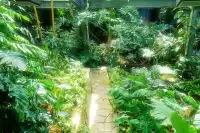 廈門植物園 | 像植物一樣呼吸