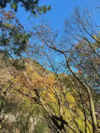 西安遛娃爬山推薦-藍田蓮花山人少不累