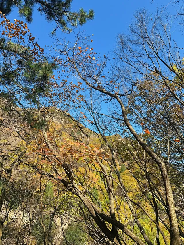 西安遛娃爬山推薦-藍田蓮花山人少不累