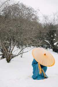 汶川雲端溫泉民宿,承包我們的四季美好