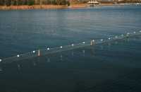 褪去夏日的喧囂，擁抱冬日的詩篇：晉陽湖蘆葦蕩