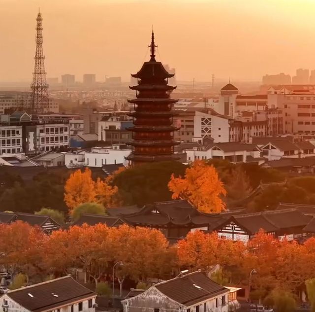 蘇州方塔園,千年古塔映銀杏展古韻 蘇州方塔園,千年古塔映銀杏展古韻