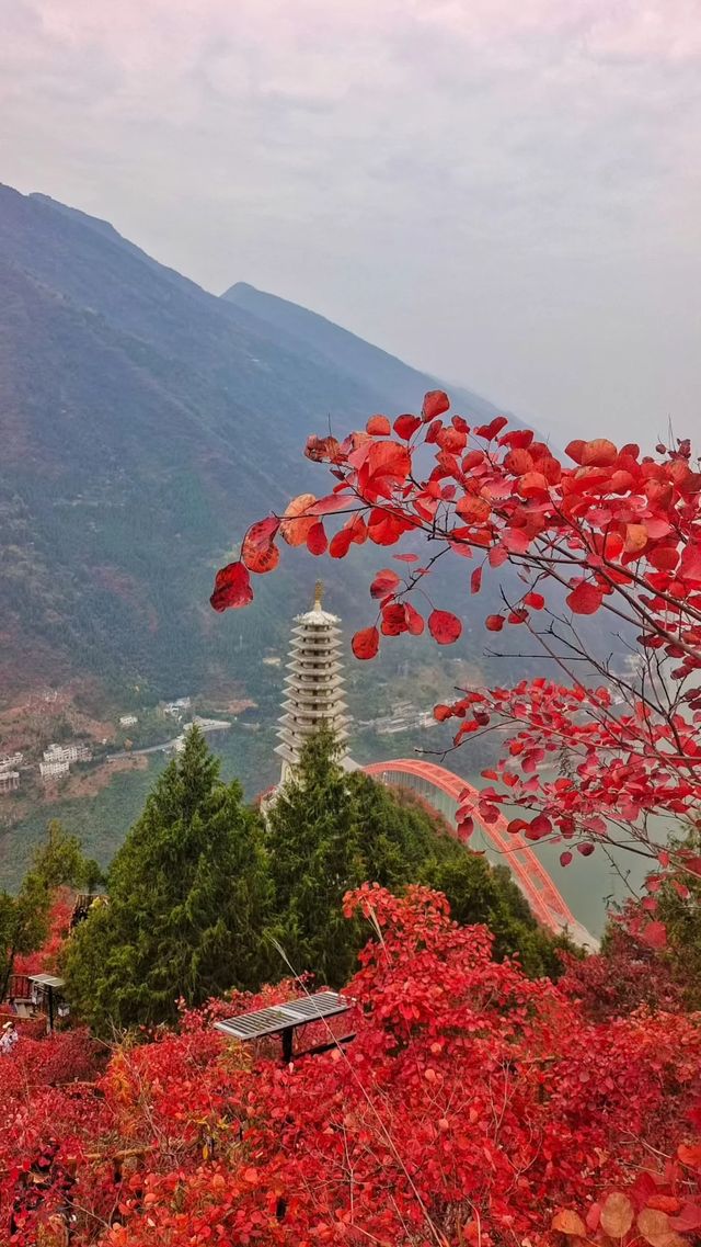 重慶三峽龍脊,中國最美的徒步步道 重慶三峽龍脊,中國最美的徒步步道