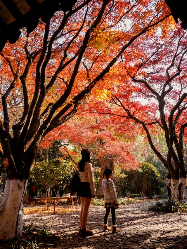 虞山秋日限定常熟紅葉美翻了丨附機位