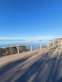 走進畫裡|滇池邊的樹與水與風都是自由的