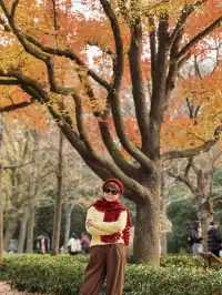 南京鐘山風景區漫遊