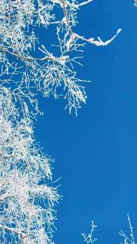 阿勒泰,把「雪的千萬種浪漫」都給了人間