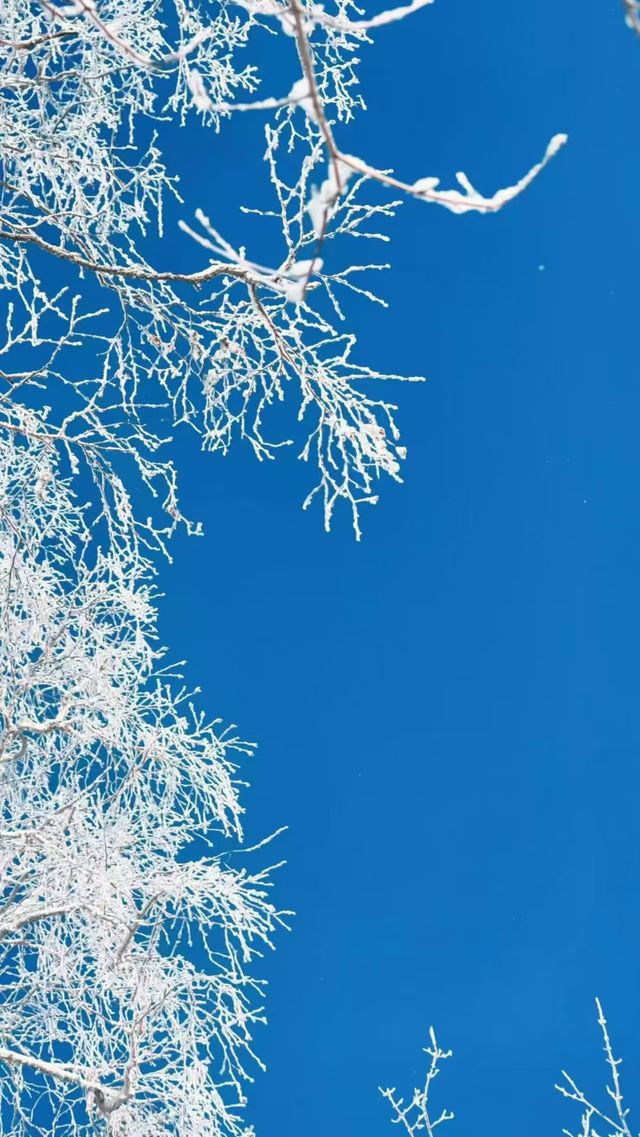 阿勒泰,把「雪的千萬種浪漫」都給了人間 阿勒泰,把「雪的千萬種浪漫」都給了人間