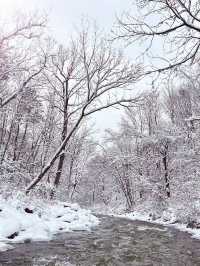 12月-2月長白山西坡怎麼玩?這篇攻略教會你!