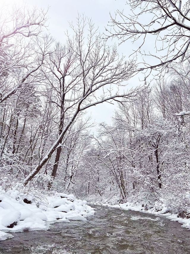 12月-2月長白山西坡怎麼玩?這篇攻略教會你! 12月-2月長白山西坡怎麼玩?這篇攻略教會你!