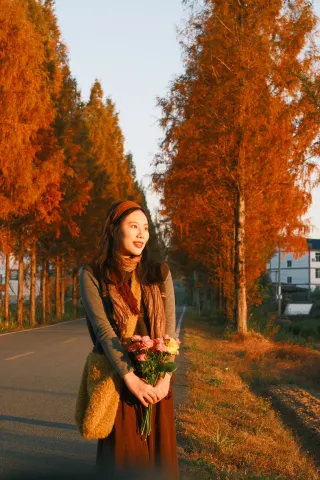 Wuyi Mountain · Deep Autumn Vibes