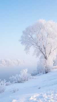 12月四種風格的冬日旅行攻略