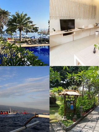 Lovina Hotel | The Perfect Blend of Rice Paddies and Black Sand Beaches