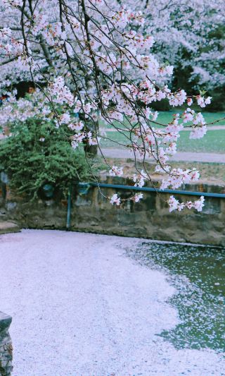 Wait another week, and Yuantouzhu will welcome a grand spring