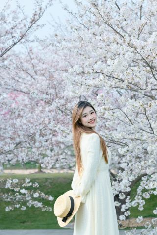 상하이 천산 식물원｜놓치면 1년을 기다려야 해요! 3월 말 소메이요시노 '벚꽃 눈보라' 완전 정복