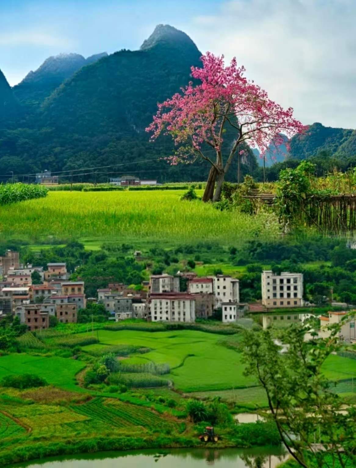 Guangdong 1-2 Hours Direct Reach｜4 Hidden Gems with Few People and Beautiful Scenery, Perfect for a Spontaneous Weekend Trip