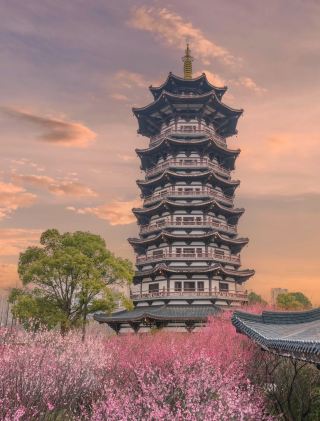 六一子供の日のお出かけの天井｜長沙洋湖湿地親子攻略