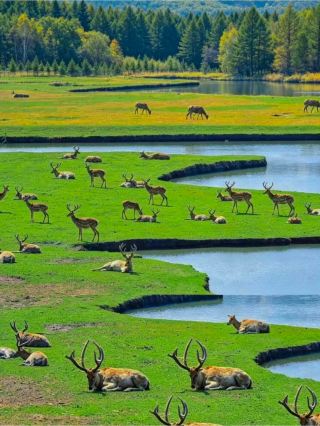 Treasure discovered! Harbin is 2 hours north, this is the ultimate summer escape