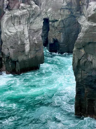 izu.ページ Izu Peninsula Travel Guide 2026: Top Attractions, Things to do