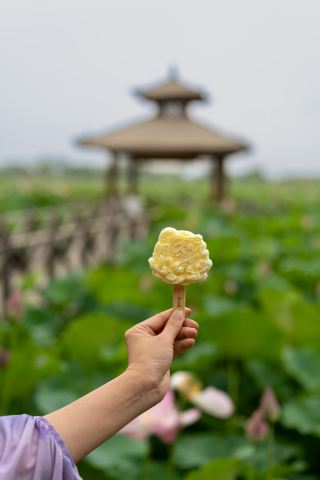 Who would have thought! This wetland + lotus pond isn’t in Jiangnan, it’s in Yinchuan