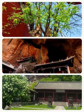 Who says niche destinations are always a bust? These places are praised to the heavens.