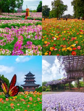 Guilin’s hidden healing gem, the Garden Expo Park, is truly a joy to explore!