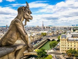 Climbing the Towers of Notre Dame: A Sublime Experience