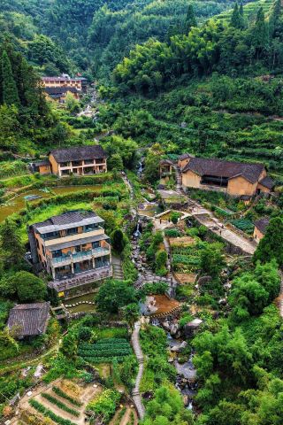 Where to go in Zhejiang to beat the heat? The 26° Yunhe terraced fields are truly amazing