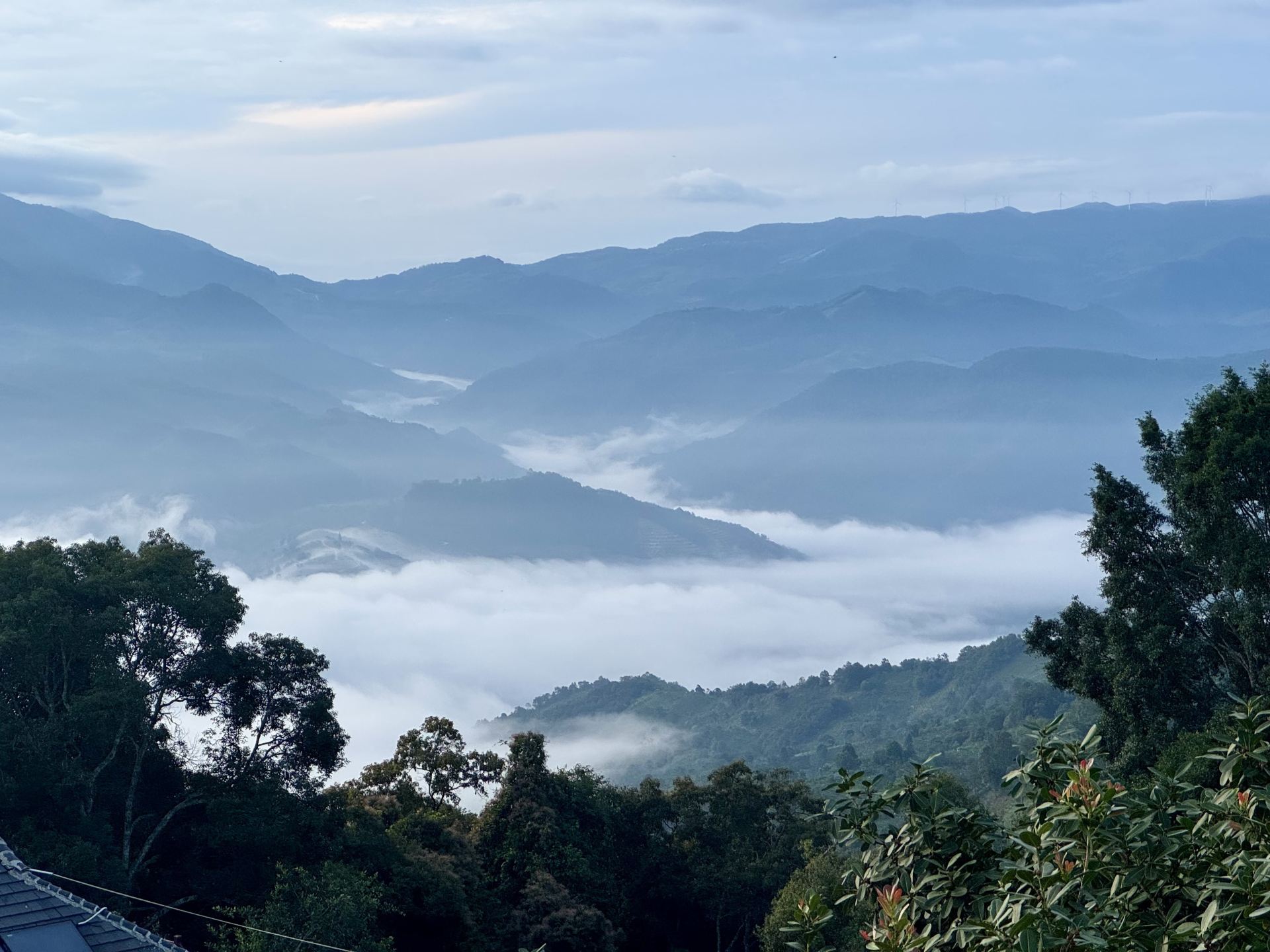 Jingmai Mountain might not be for 80% of people