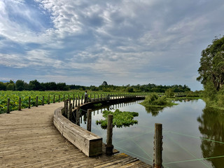 Southern end of Dianchi Lake