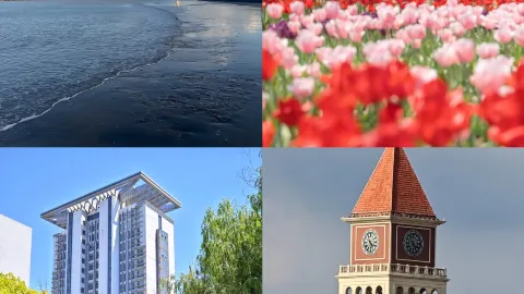 Budget Autumn Trip to Yancheng: 400 RMB per person | Uncrowded & affordable! A niche Jiangnan wetland city in autumn — traveler post in Binhai