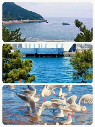 8월 가성비 여행 직접 검증, 예산 진짜 넉넉해
