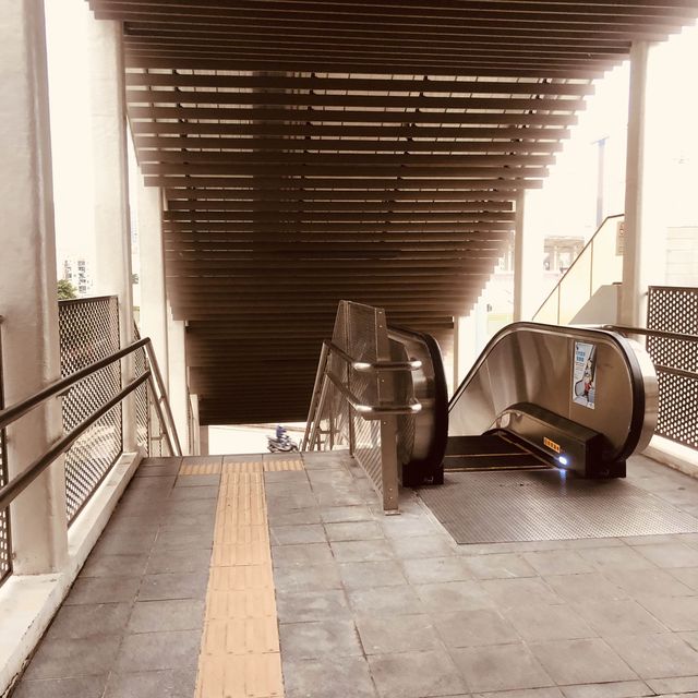 TAIPA PEDESTRIAN OVERPASS BRIDGE