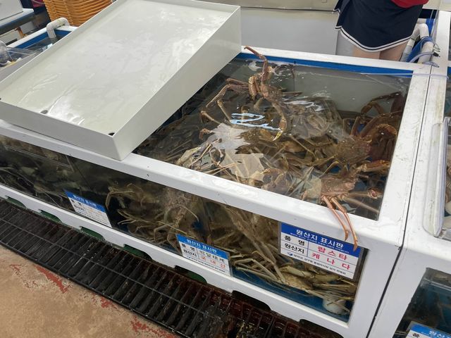 겨울엔 제철대게지🦀 영덕 해파랑공원과 동광어시장