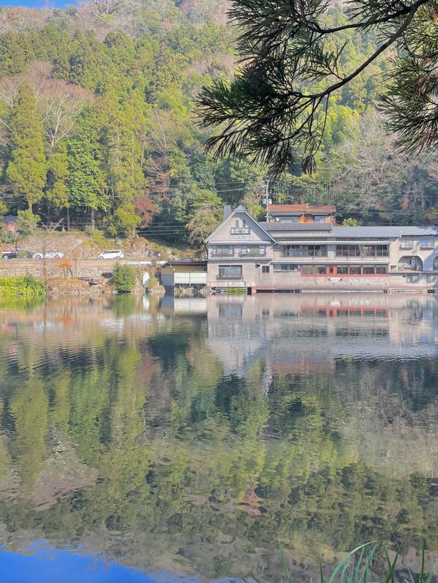 유후인에서 여유롭게 물멍 "긴린코 호수"🌳
