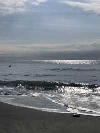 영화 속 한 장면 같던 가마쿠라 바다🌊