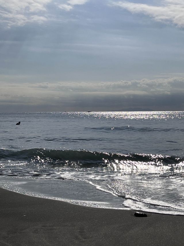 영화 속 한 장면 같던 가마쿠라 바다🌊