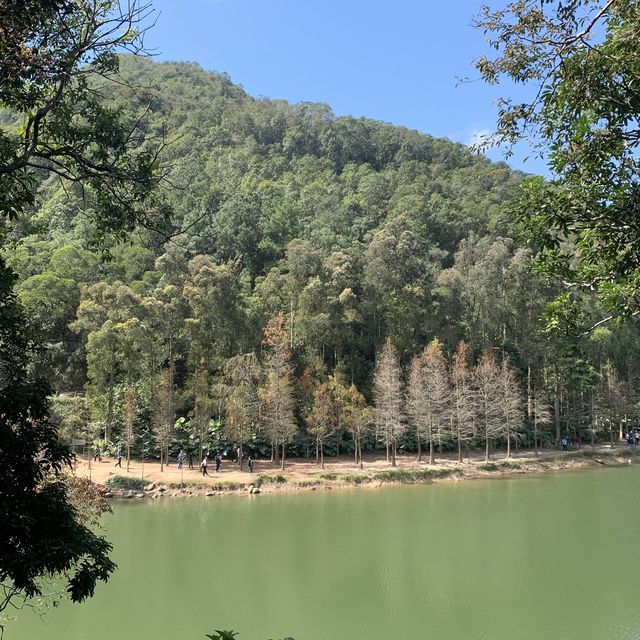 捉緊新年假的尾巴 行下流水響水塘 天氣超級好
