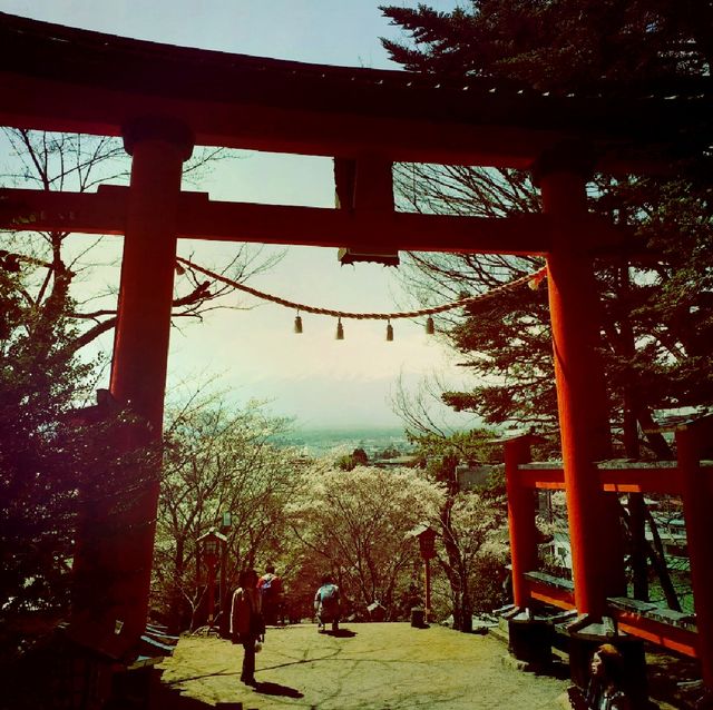朝聖富士山第一景 淺間公園(part1)