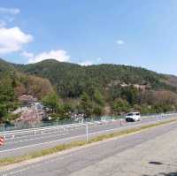朝聖富士山第一景 淺間公園(part1)