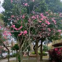 市區裡也有一片寧靜-民生社區公園