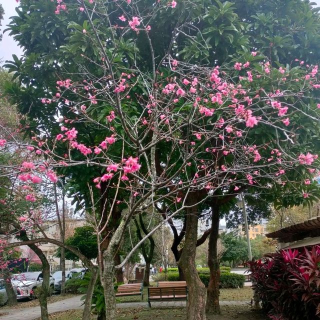 市區裡也有一片寧靜-民生社區公園