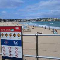 拍拖去海灘～Bondi Beach