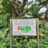 齊來找綉球吧！