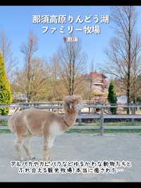 【栃木】行ってよかった！栃木の観光スポット7選