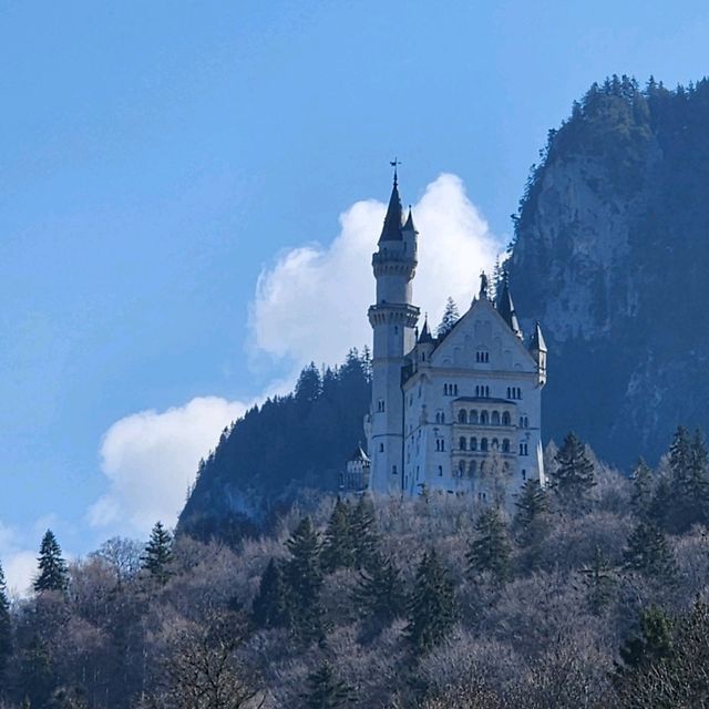 Neuschwanstein CASTLE