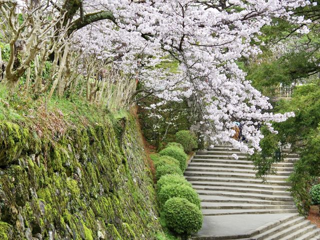 【高知市】日本百名城の春🌸