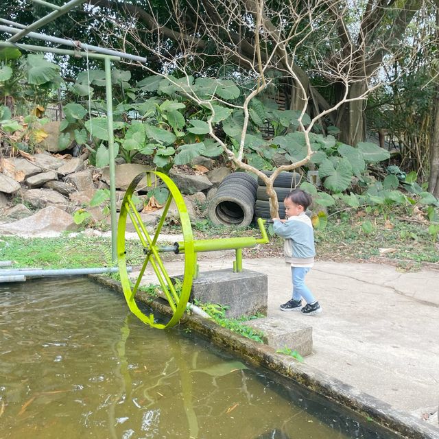 上水假日農場 非一般農莊