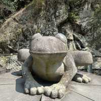 新竹踏青景點！新竹青蛙石天空步道！天然形成青蛙石🪨值得一看！